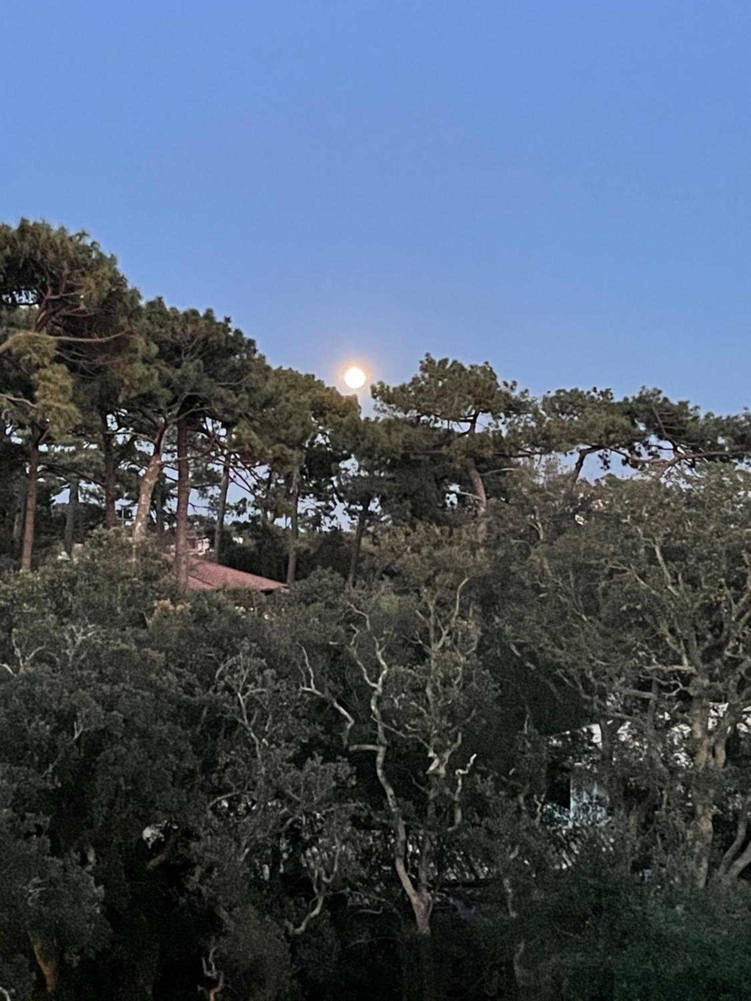 Tao Apartment Soorts-Hossegor Bagian luar foto