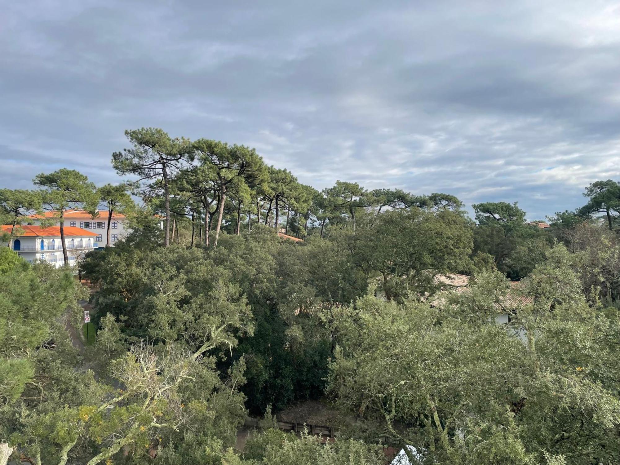Tao Apartment Soorts-Hossegor Bagian luar foto